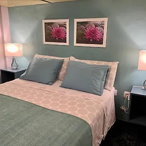 Estudios Dalia , Vecindario (Gran Canaria) España